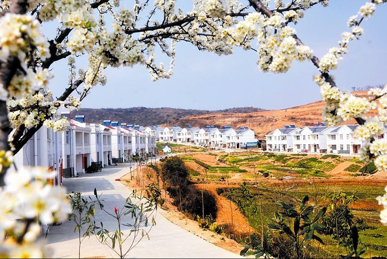 化龍堰鎮用“四個抓手”推進人居環境整治