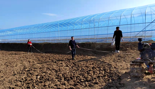 房州味道：精心打造“共享菜園”