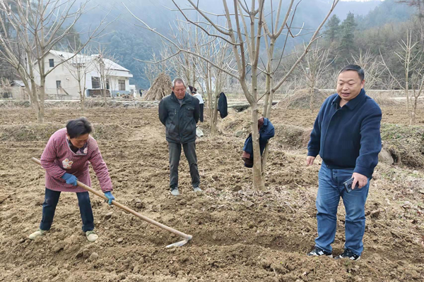 五臺鄉“四輪驅動”興產業