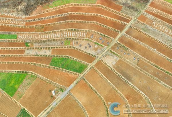 房縣：治理水土流失助力糧食豐收