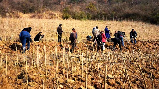大木廠鎮：抓好春季生產 助力鄉村振興