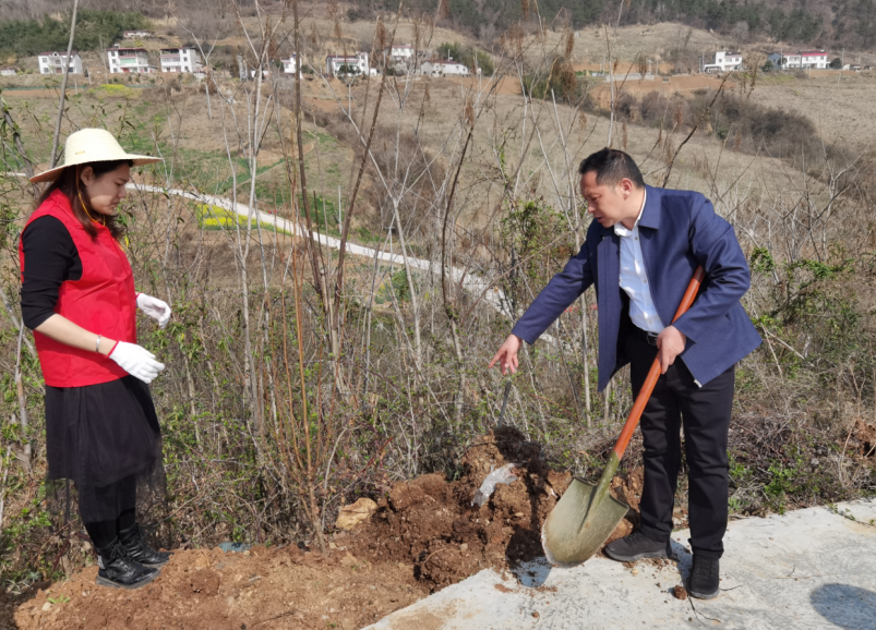 尹吉甫鎮：開展“植樹節·植綠 愛綠 護綠暨共建美麗家園”志愿服務活動