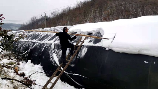 沙河鄉: 大棚除雪保安全