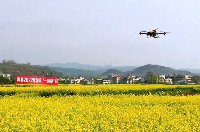 房縣：“一促四防”促夏油豐收