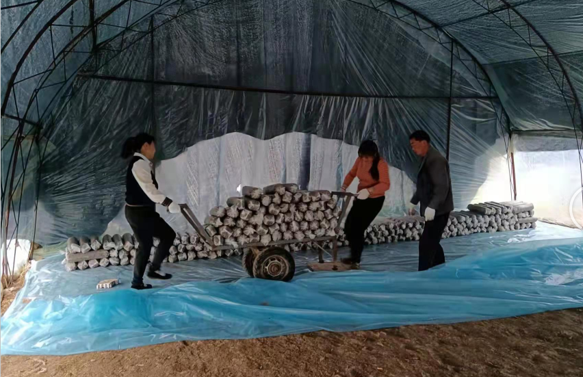 萬峪河鄉紀委：精準監督 推動春耕有序開展