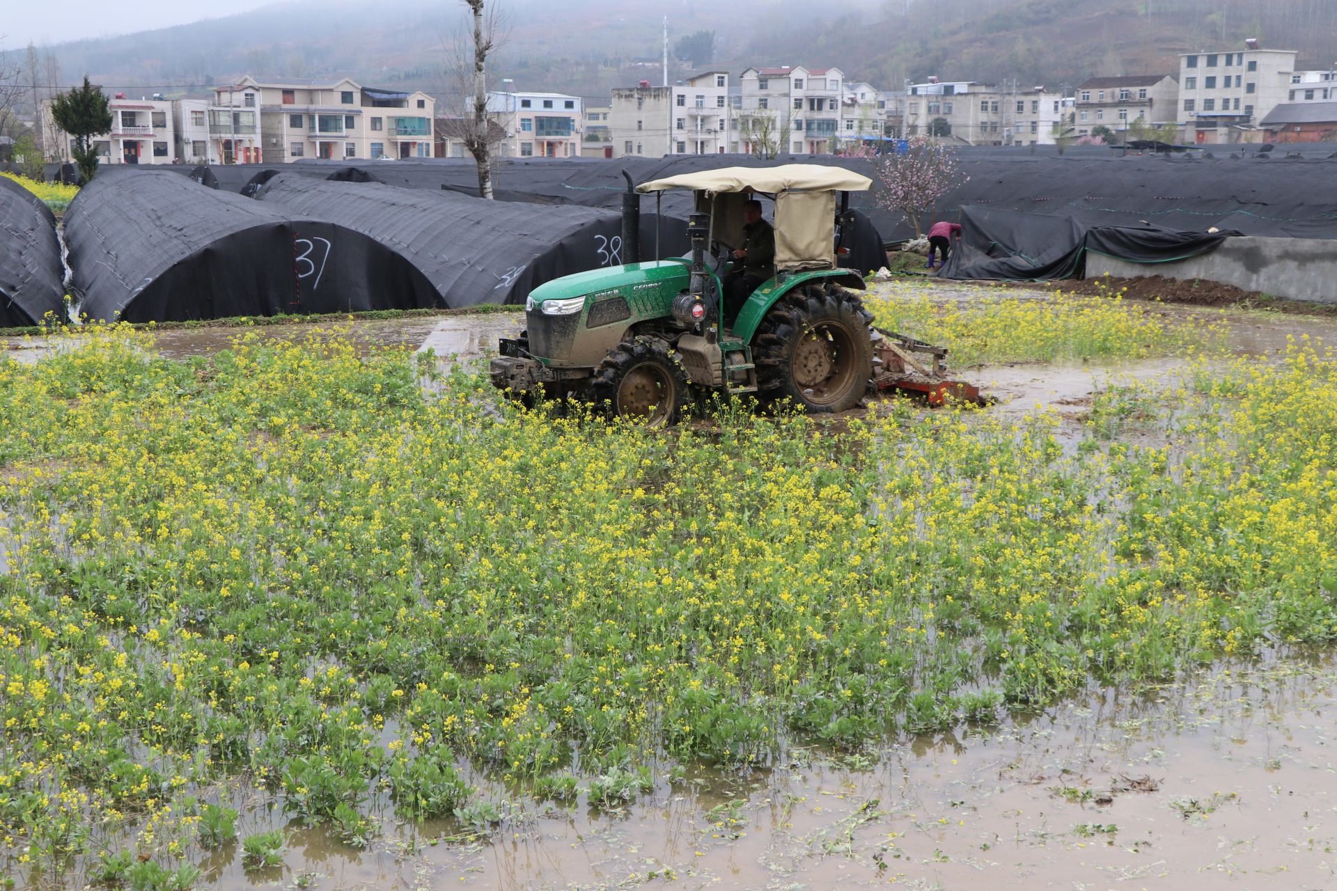 耙田播種“鬧春耕”