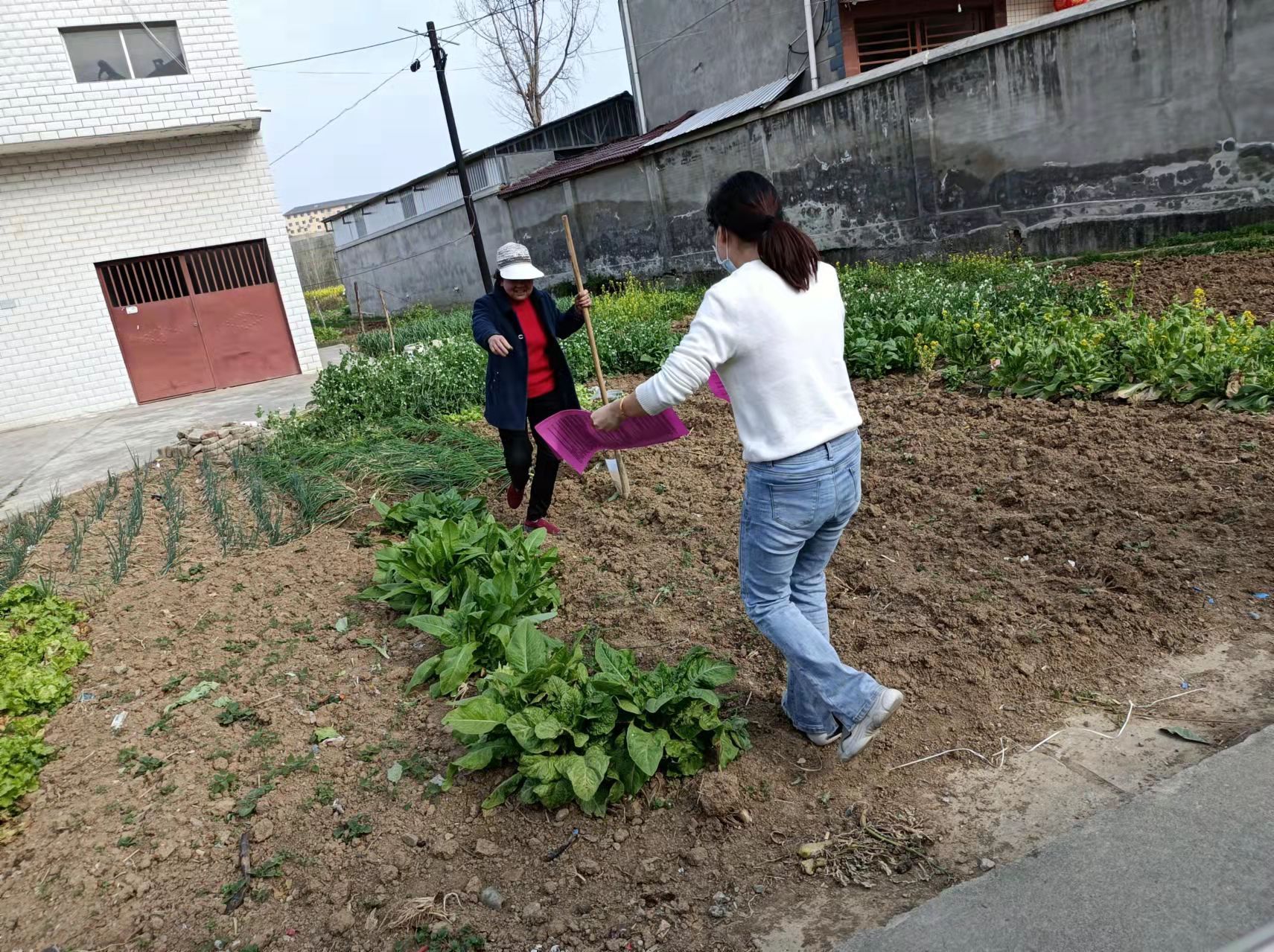城關鎮宣傳惠農政策 助力鄉村振興