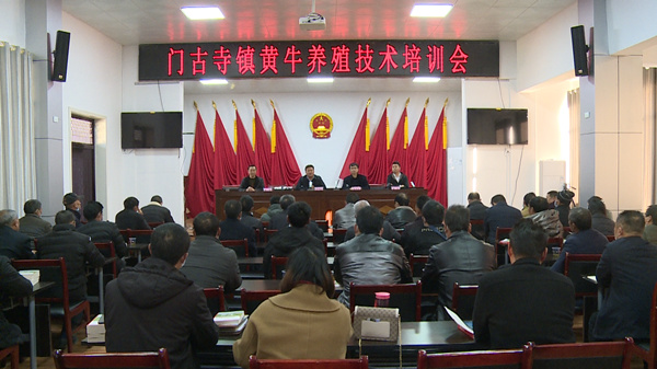 【喜迎黨的二十大專欄】 房縣門古寺鎮：做大做強畜牧產業 帶領群眾“犇”上致富路