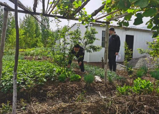 房縣城關鎮：全力鏟除罌粟　大力宣傳禁毒知識