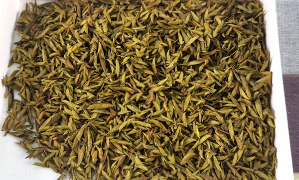 房縣萬(wàn)峪鄉(xiāng)發(fā)現(xiàn)大片野生騫林茶樹