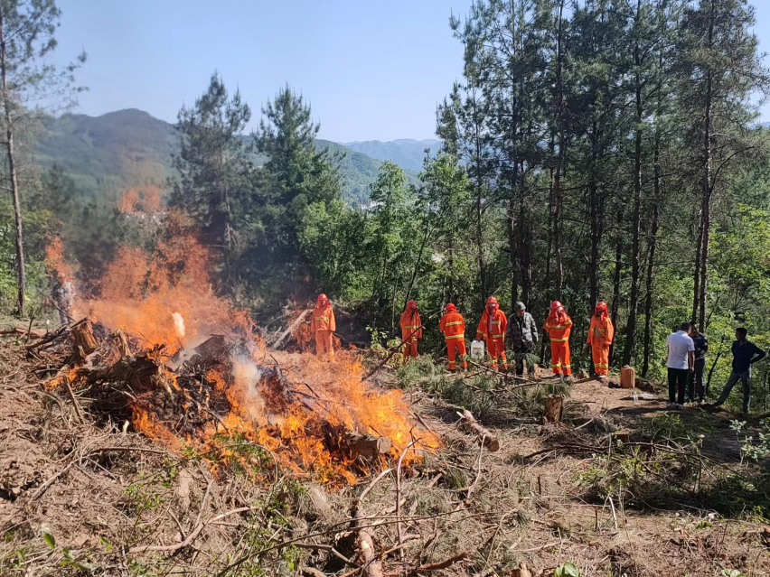 林業局崗位大練兵：以練為基礎 全面提升業務技能