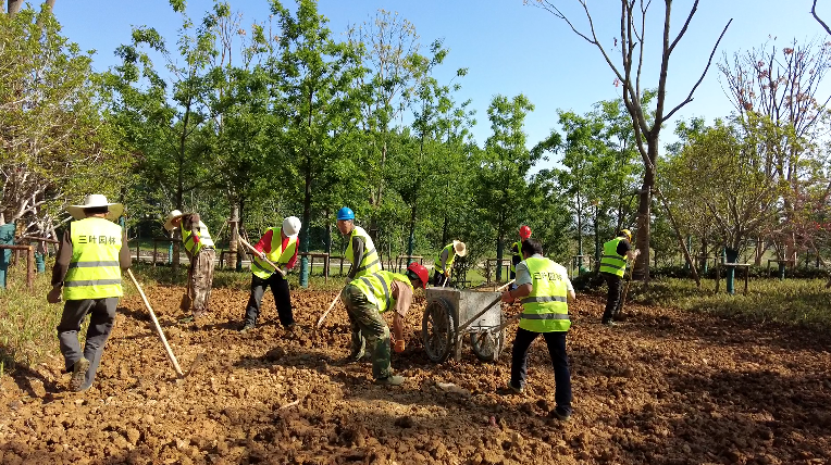 【節(jié)日我在崗】房縣165名園林綠化工人堅(jiān)守崗位植樹護(hù)綠