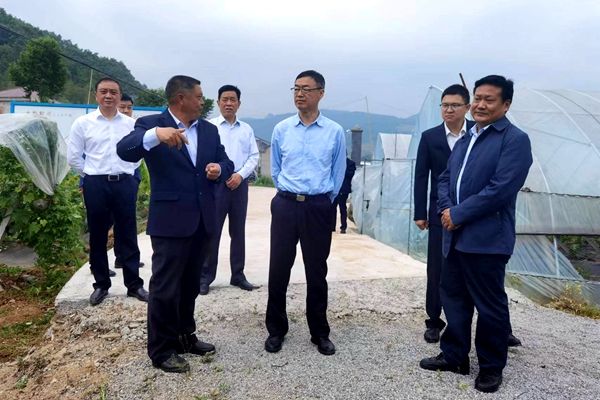 師永學來房縣開展“代表行動”