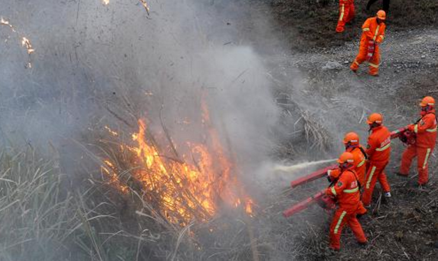 白鶴鎮組織召開森林防火應急演練
