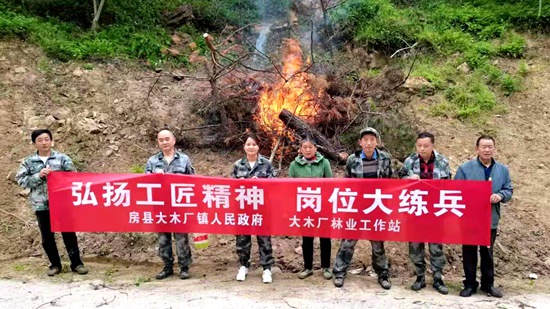 大木廠鎮： 開展松材線蟲病防治 推動崗位大練兵