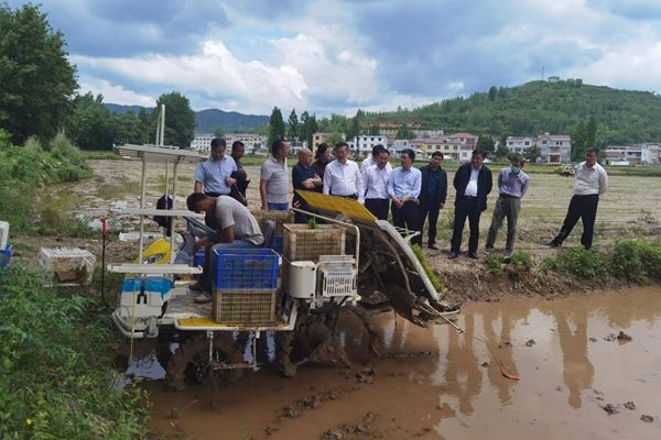 市人大對我縣《農業機械化促進法》貫徹實施情況開展執法檢查