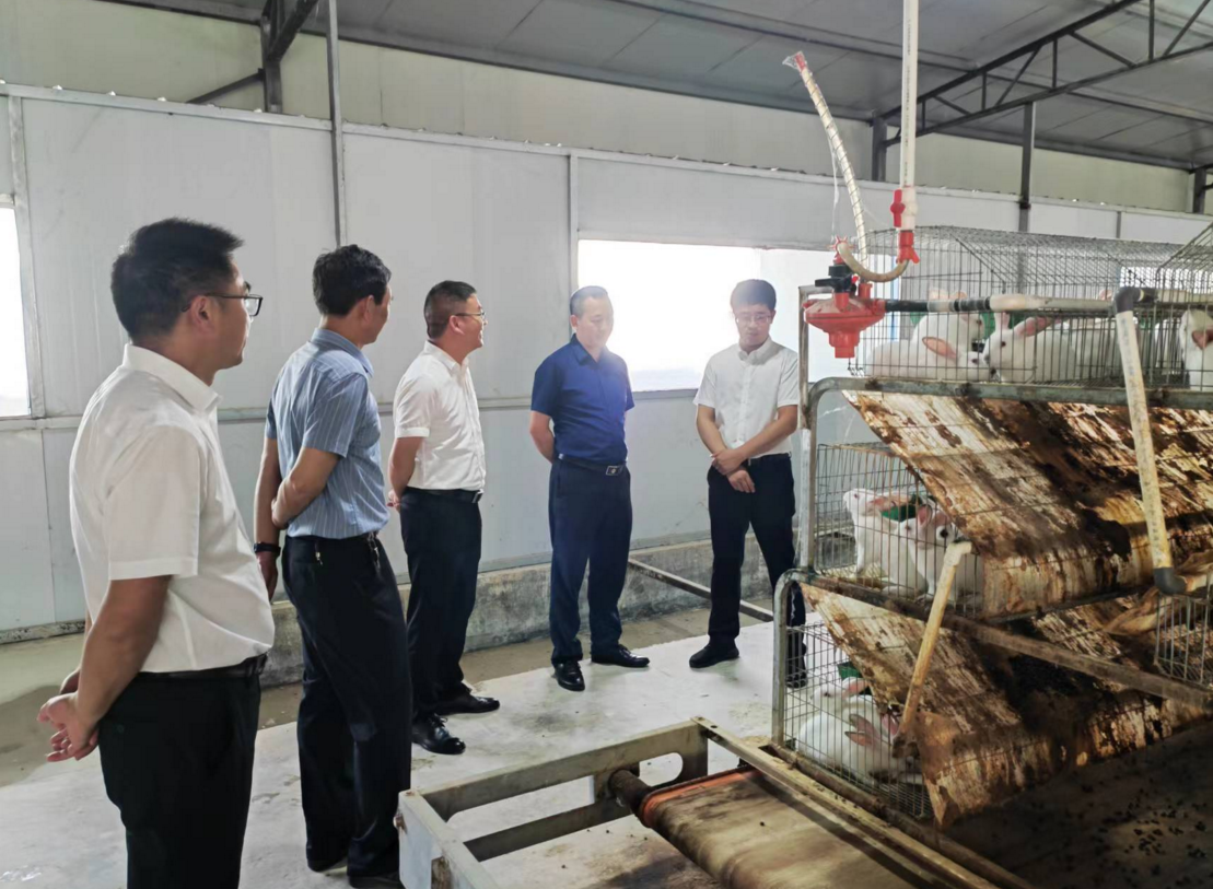 白鶴鎮(zhèn)持續(xù)優(yōu)化營商環(huán)境助力企業(yè)發(fā)展