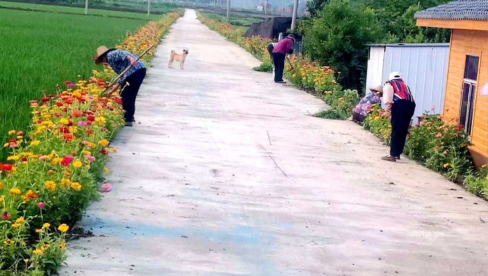 軍店鎮：“四好公路”繪就鄉村振興新畫卷