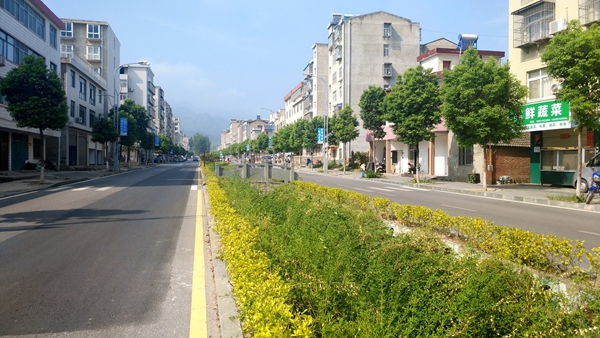 王玲要求：合力創(chuàng)建“示范路”“嚴(yán)管街” 讓群眾出行更安全