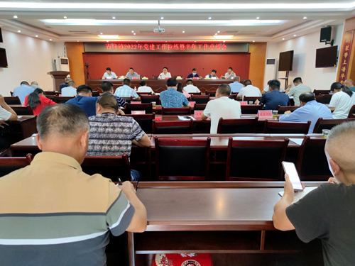 青峰鎮(zhèn)召開2022年黨建工作拉練暨半年工作總結會