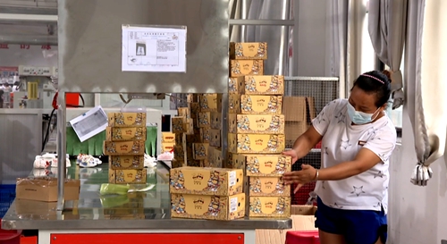 筑牢企業(yè)防疫屏障 防控生產(chǎn)兩不誤