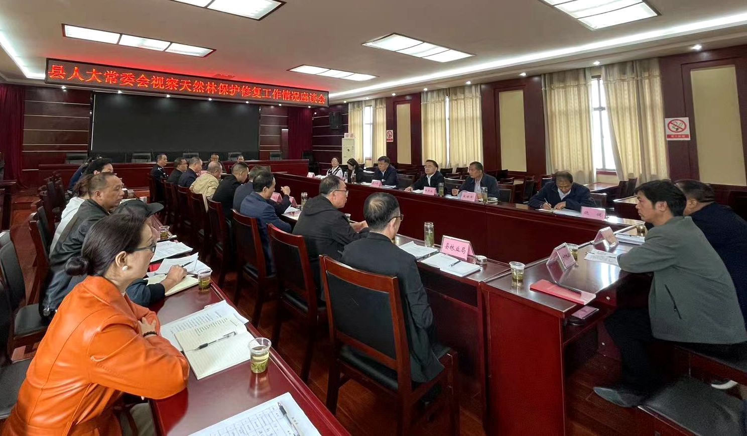 縣人大常委會專項(xiàng)視察天然林保護(hù)修復(fù)情況