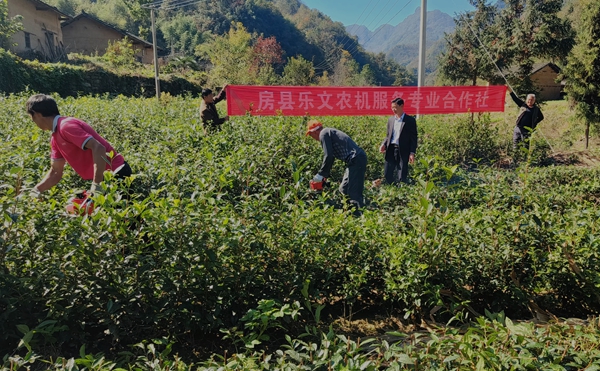 大木廠鎮(zhèn)：引進(jìn)社會化服務(wù)  助力產(chǎn)業(yè)發(fā)展