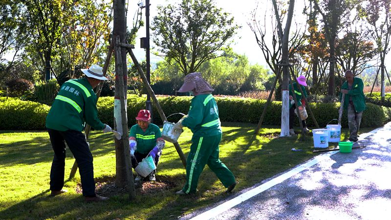 縣住建局:城區(qū)樹木穿“新衣” 保障苗木穩(wěn)過冬