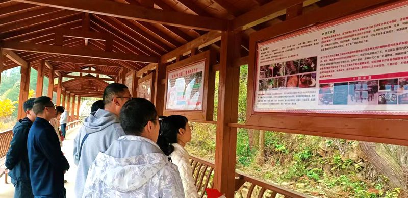 縣委黨校組織黨外干部開展 “追尋紅色足跡 傳承革命精神”研學(xué)活動