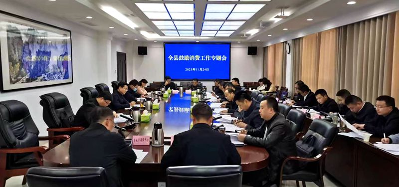 謝曉鳴強(qiáng)調(diào)：全面拉動(dòng)內(nèi)需 激發(fā)消費(fèi)潛力