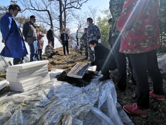 九道鄉(xiāng)：送技進(jìn)村，提升技能促振興