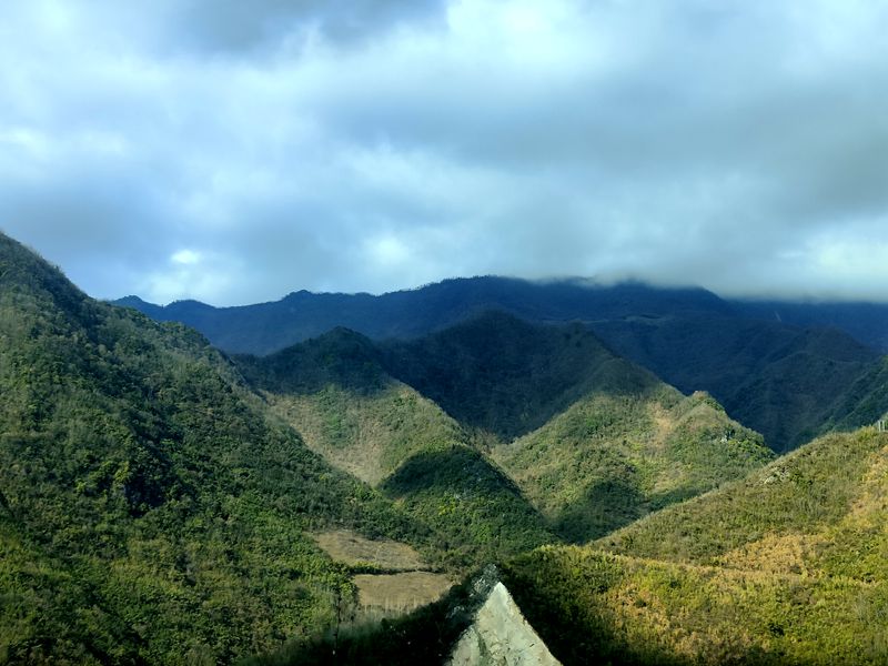 九道鄉(xiāng)塘坊埡村：羊肚菌撐起鄉(xiāng)村振興“致富傘”