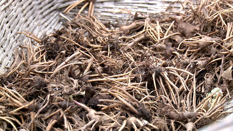 九道鄉(xiāng)八里坡村:春日好時(shí)節(jié) 春耕備耕忙