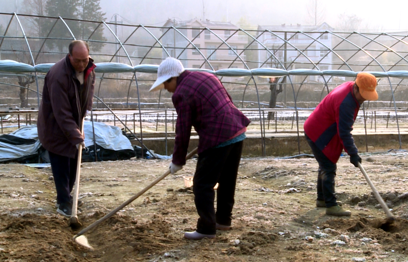 土城鎮(zhèn)：搶抓農(nóng)時好春光 春耕備耕產(chǎn)業(yè)忙
