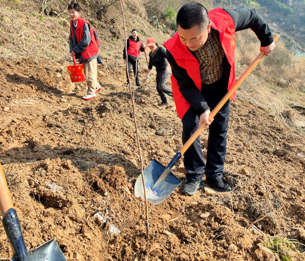 房縣大木廠鎮(zhèn)財政所：開展春季義務(wù)植樹活動