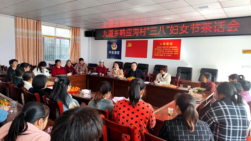 巾幗心向黨 奮進新征程 九道鄉(xiāng)開展慶“三八”婦女節(jié)系列活動