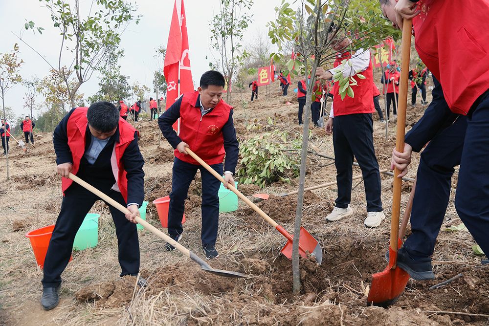 紀(jì)道清謝曉鳴等縣領(lǐng)導(dǎo)參加義務(wù)植樹(shù)活動(dòng)