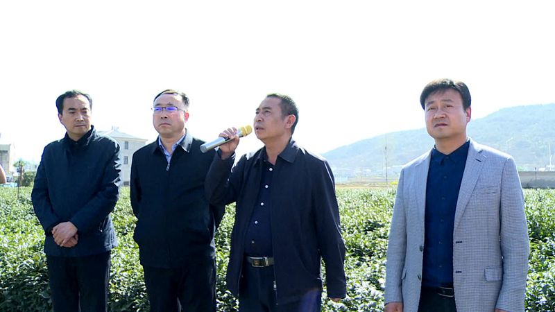 縣農(nóng)機(jī)服務(wù)中心：召開茶園管理抗旱現(xiàn)場會(huì)