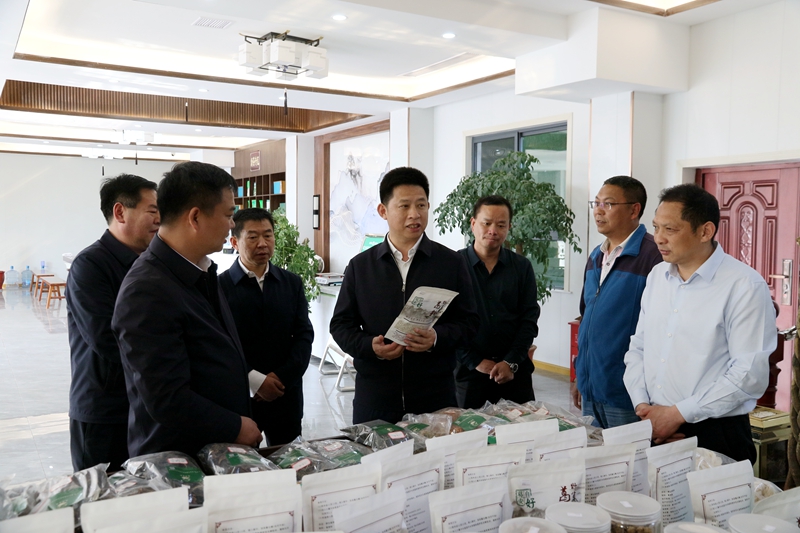 紀(jì)道清強(qiáng)調(diào)：落實(shí)落地七大產(chǎn)業(yè)鏈政策 推動(dòng)鄉(xiāng)村振興示范村建設(shè)結(jié)碩果