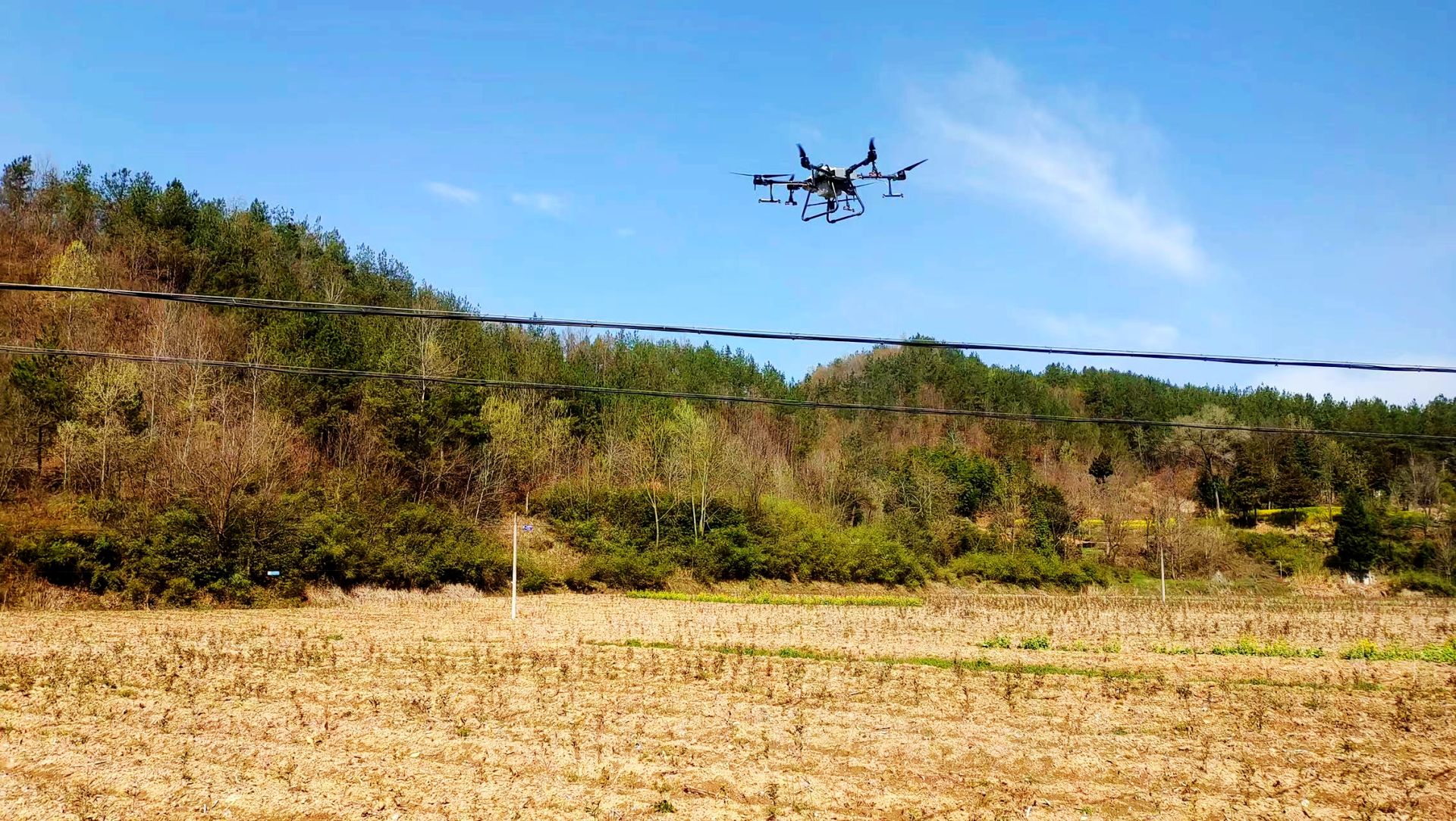 門古寺鎮(zhèn)項(xiàng)家河村：無人機(jī)噴藥百畝茶葉園 工作隊(duì)精準(zhǔn)幫扶解民憂