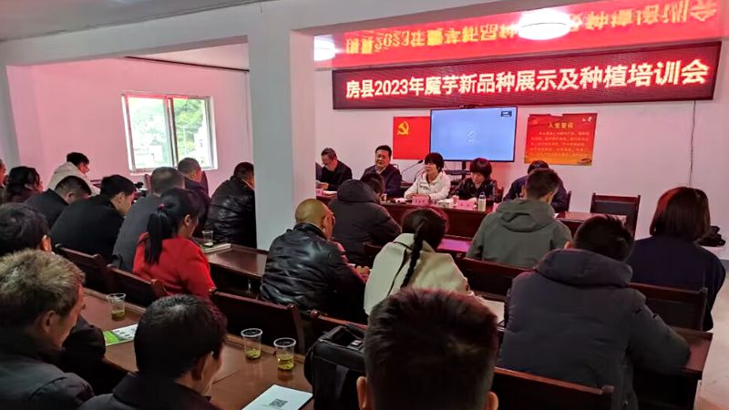 我縣開展魔芋綠色優質標準化種植技術專題培訓