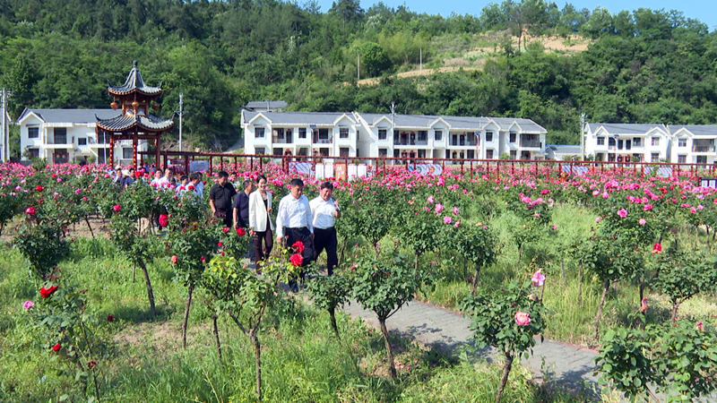 房縣開(kāi)展2023年第一季度鄉(xiāng)村振興示范村拉練