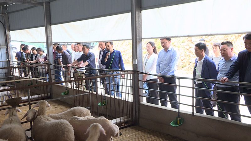 青峰鎮(zhèn)：實地觀摩取真經(jīng) 競進拉練促提升