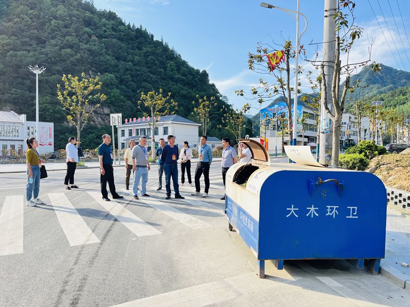 大木廠鎮(zhèn)：開展“六查六促”代表行動(dòng)  助力鄉(xiāng)村振興行穩(wěn)致遠(yuǎn)