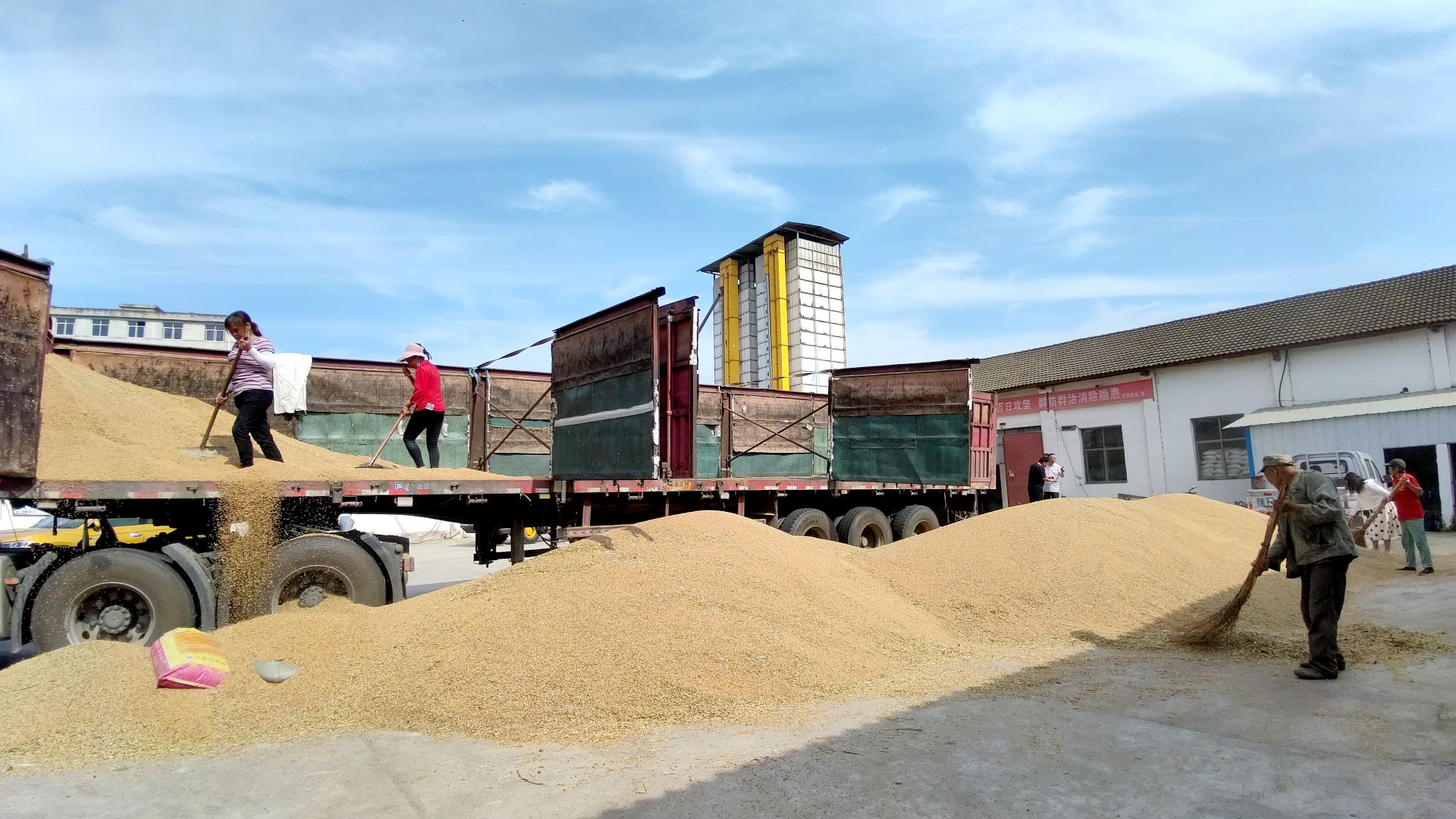 房縣供銷社強(qiáng)化夏糧烘干收儲(chǔ) 全力保障糧食安全