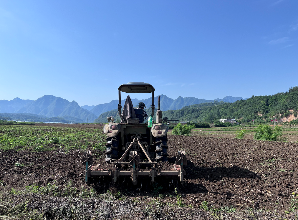 軍店鎮(zhèn)：時(shí)令催人忙，不負(fù)好時(shí)光