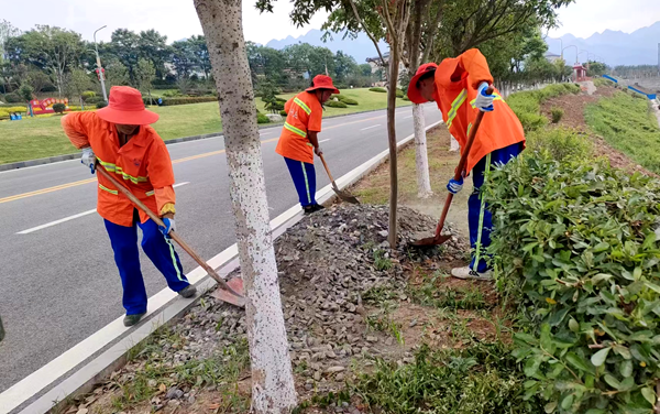 【創(chuàng)文五大專項整治】房縣城管開展綠化帶衛(wèi)生專項整治