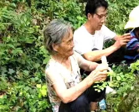 土城鎮(zhèn)：七旬老人午夜走丟，各方助力終于找回