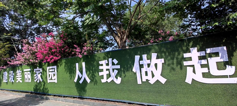 醉美南寧路 綻放文明花