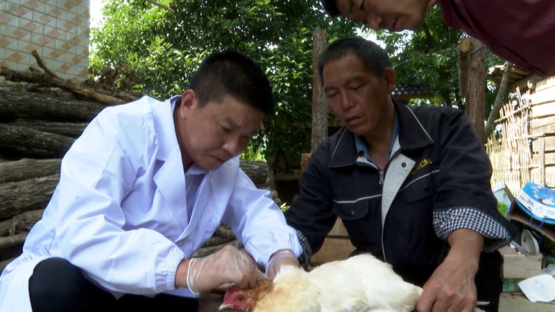 《勞模風(fēng)采》 陳澤品：讓養(yǎng)殖戶的“錢袋子”鼓起來